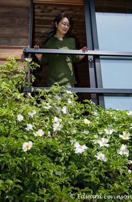 Edward_Levinson_ edo010_DSC8896